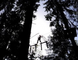  Course in the Trees in Ain 